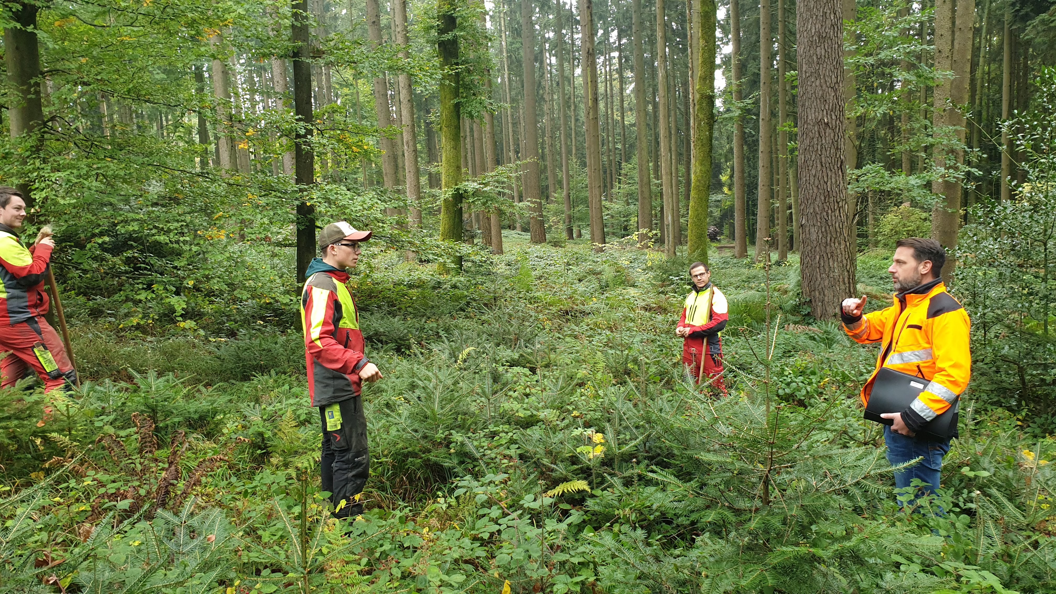 auch bei der Jungwaldpflege ist sicheres Arbeiten ein Thema