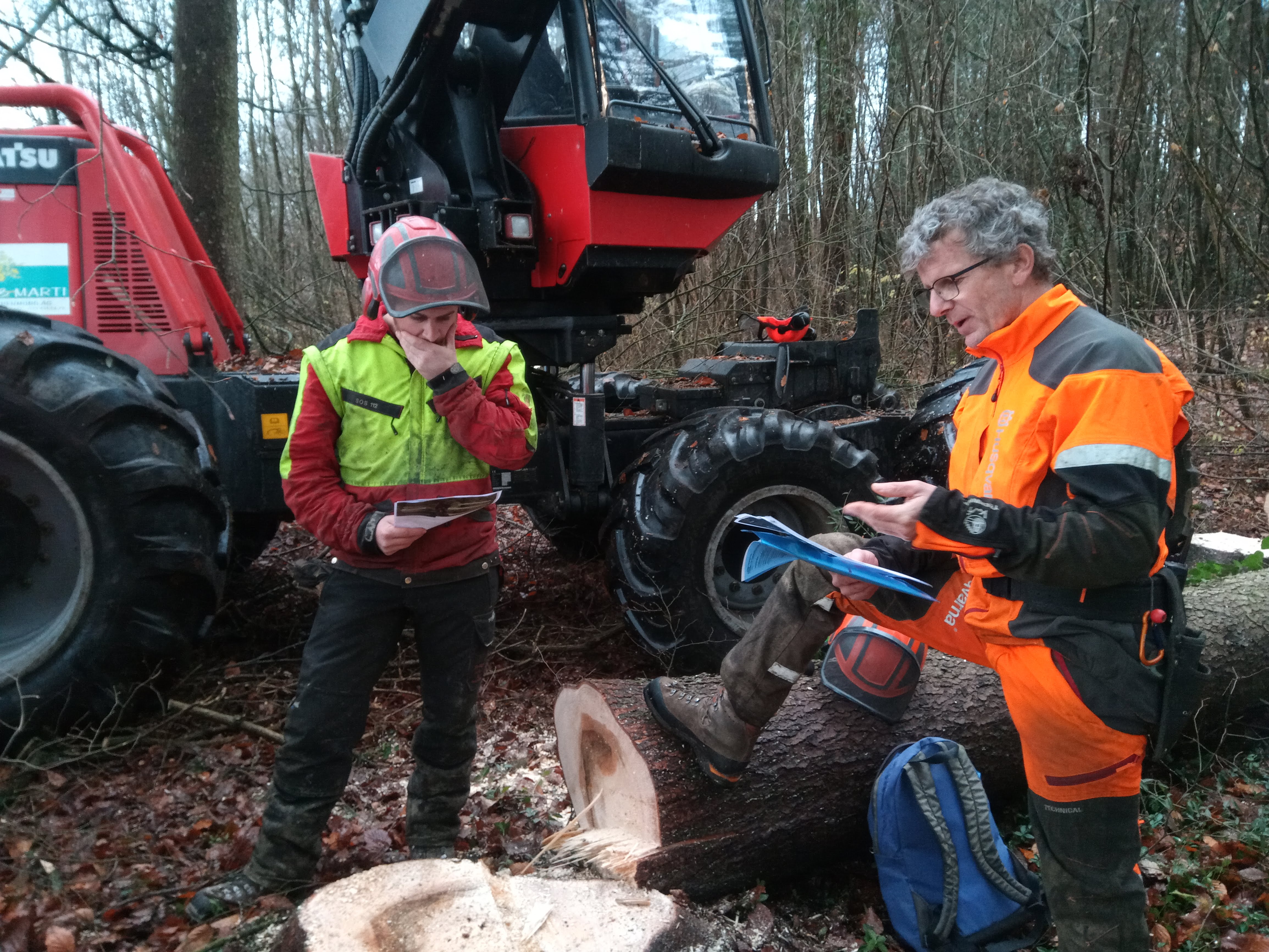 Beim Fällen mit dem Harvester lauern viele Gefahren Beim Fällen mit dem Harvester lauern viele Gefahren